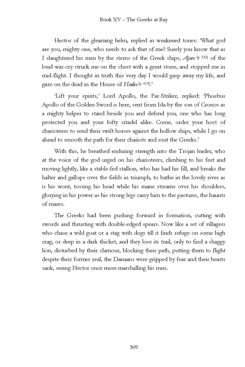 The Iliad - Page 303